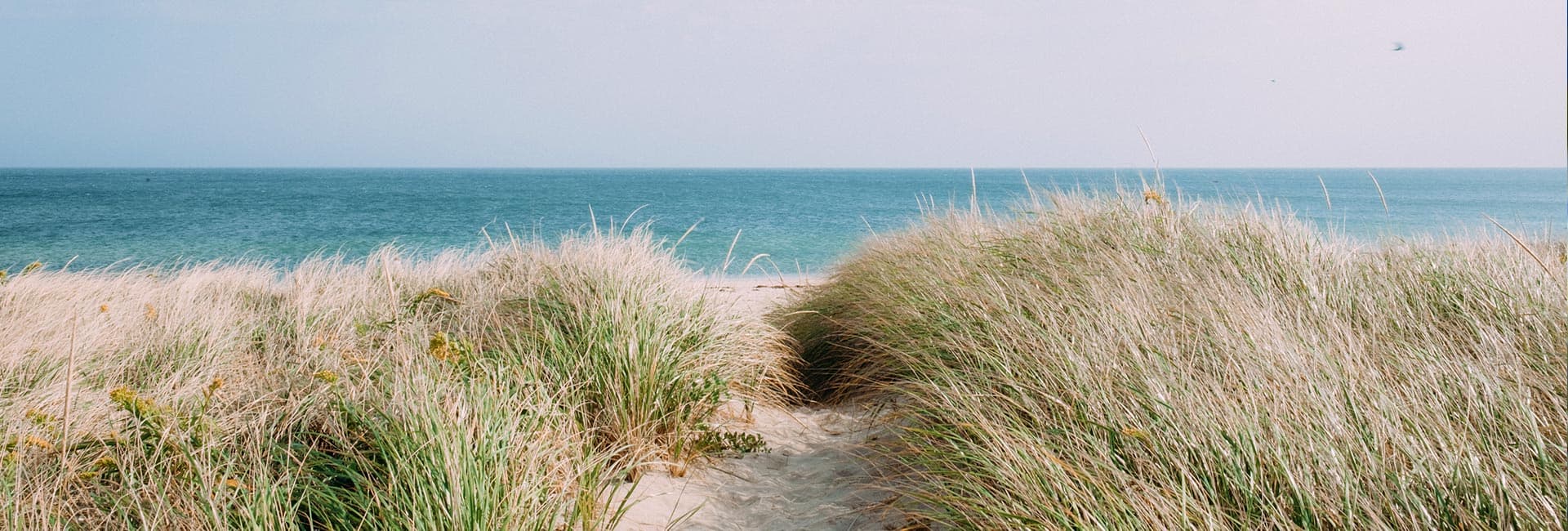 A pathway through tall grass leads to a serene beach and turquoise ocean.