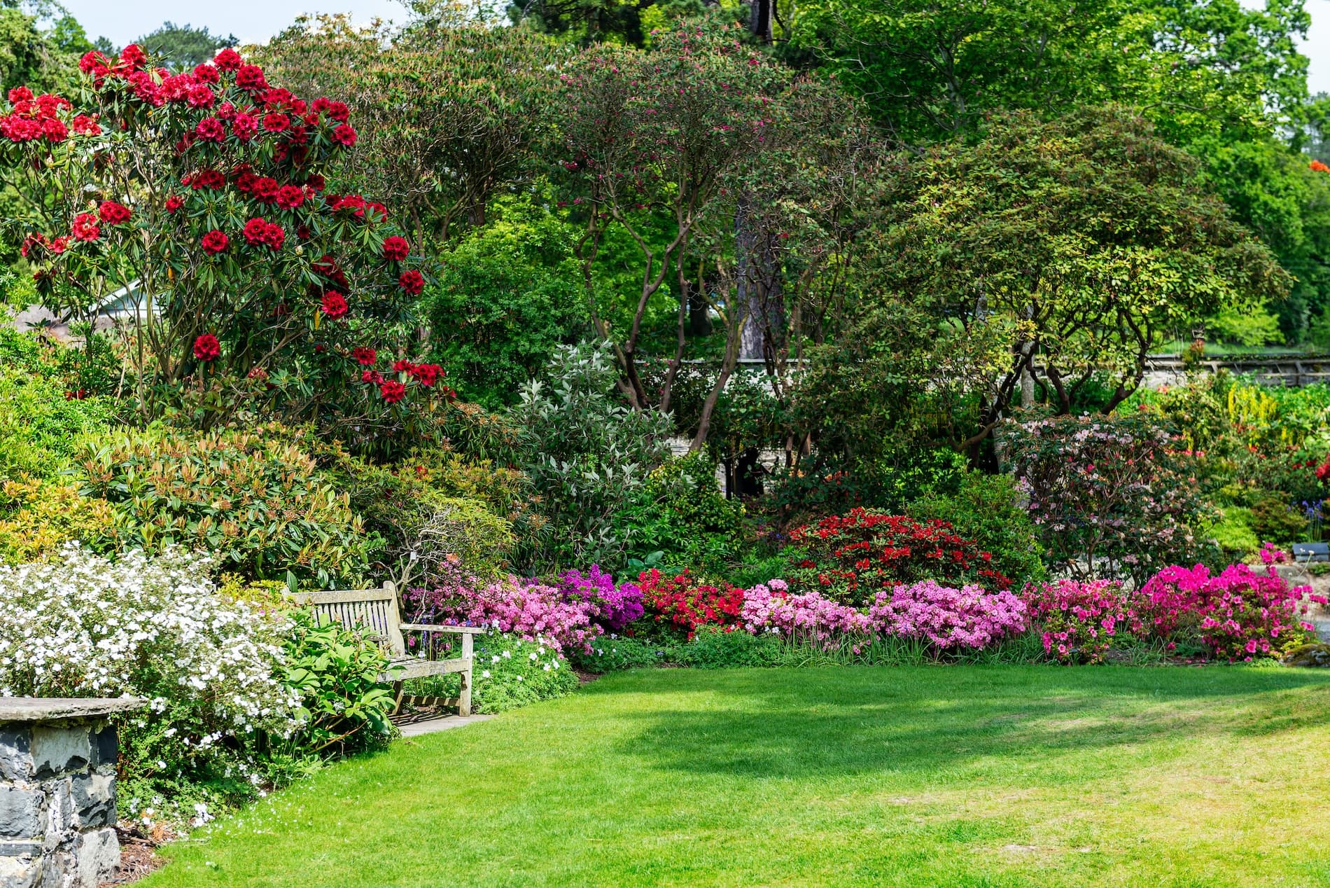 A vibrant garden filled with colorful flowers and a wooden bench under lush greenery. A vibrant garden filled with colorful flowers and a wooden bench under lush greenery.