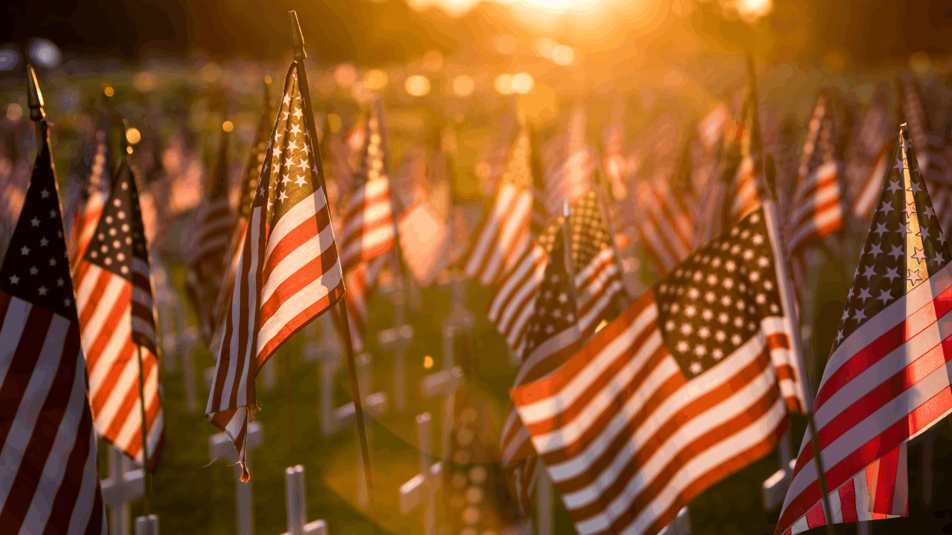 A field of American flags illuminated by a warm sunset.