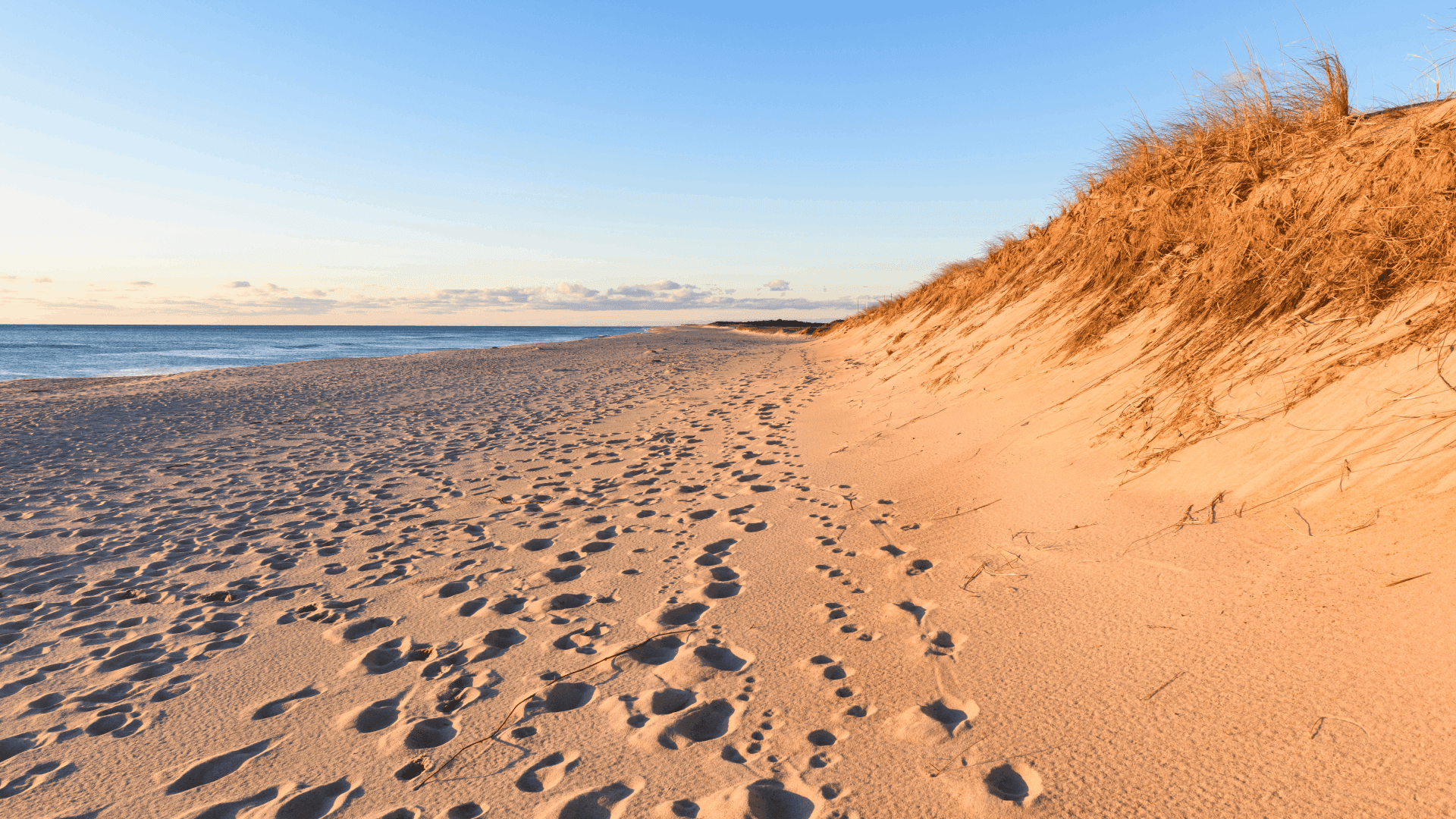 A sandy beach with gentle dunes and footprints leading toward a calm sea under a clear sky. A sandy beach with gentle dunes and footprints leading toward a calm sea under a clear sky.