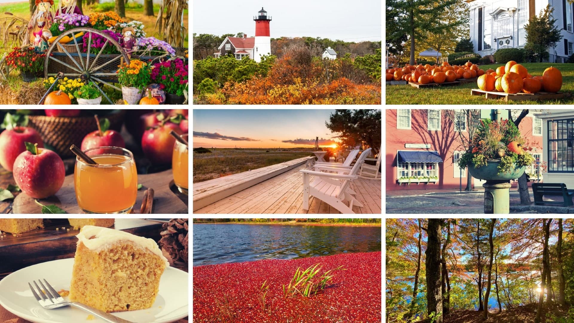 A collage showcasing autumn themes, including pumpkins, apples, a lighthouse, and seasonal scenery. A collage showcasing autumn themes, including pumpkins, apples, a lighthouse, and seasonal scenery.