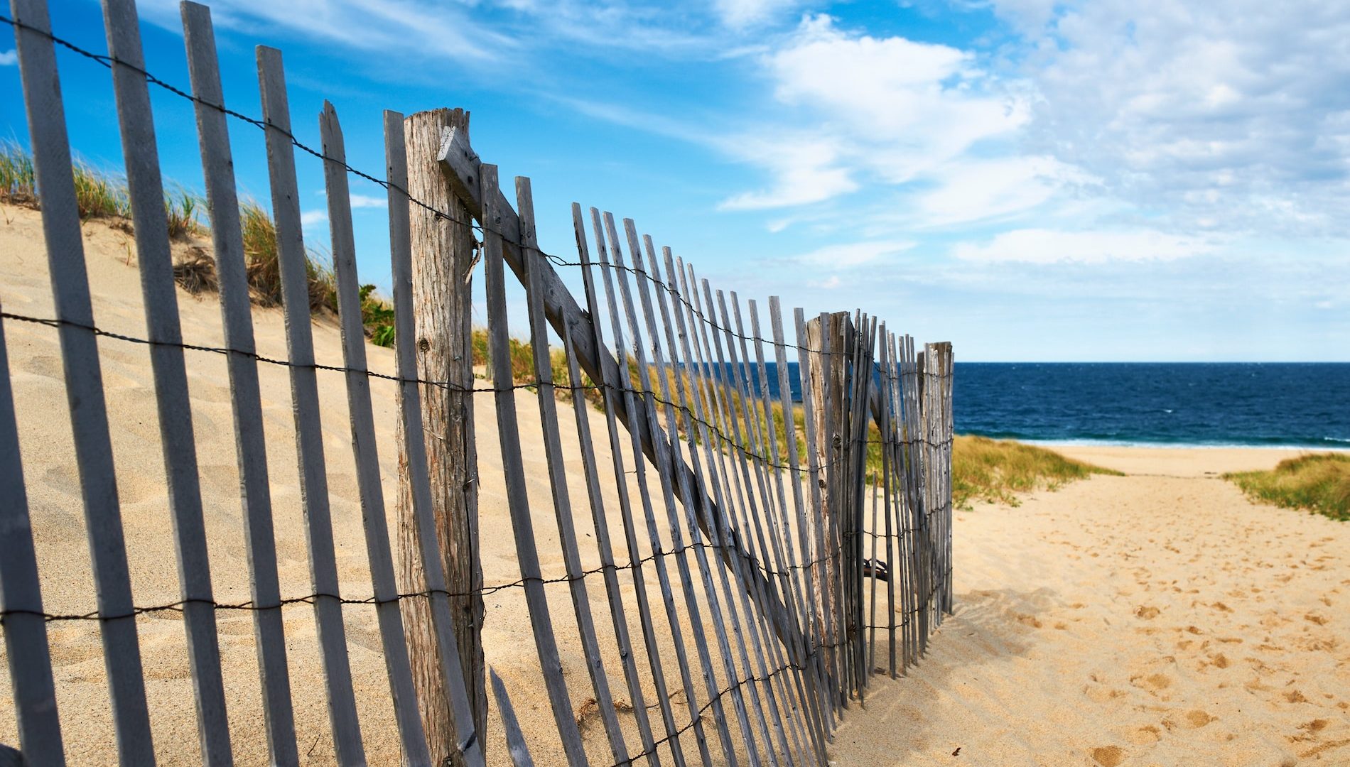 Path way to the beach at Cape Cod