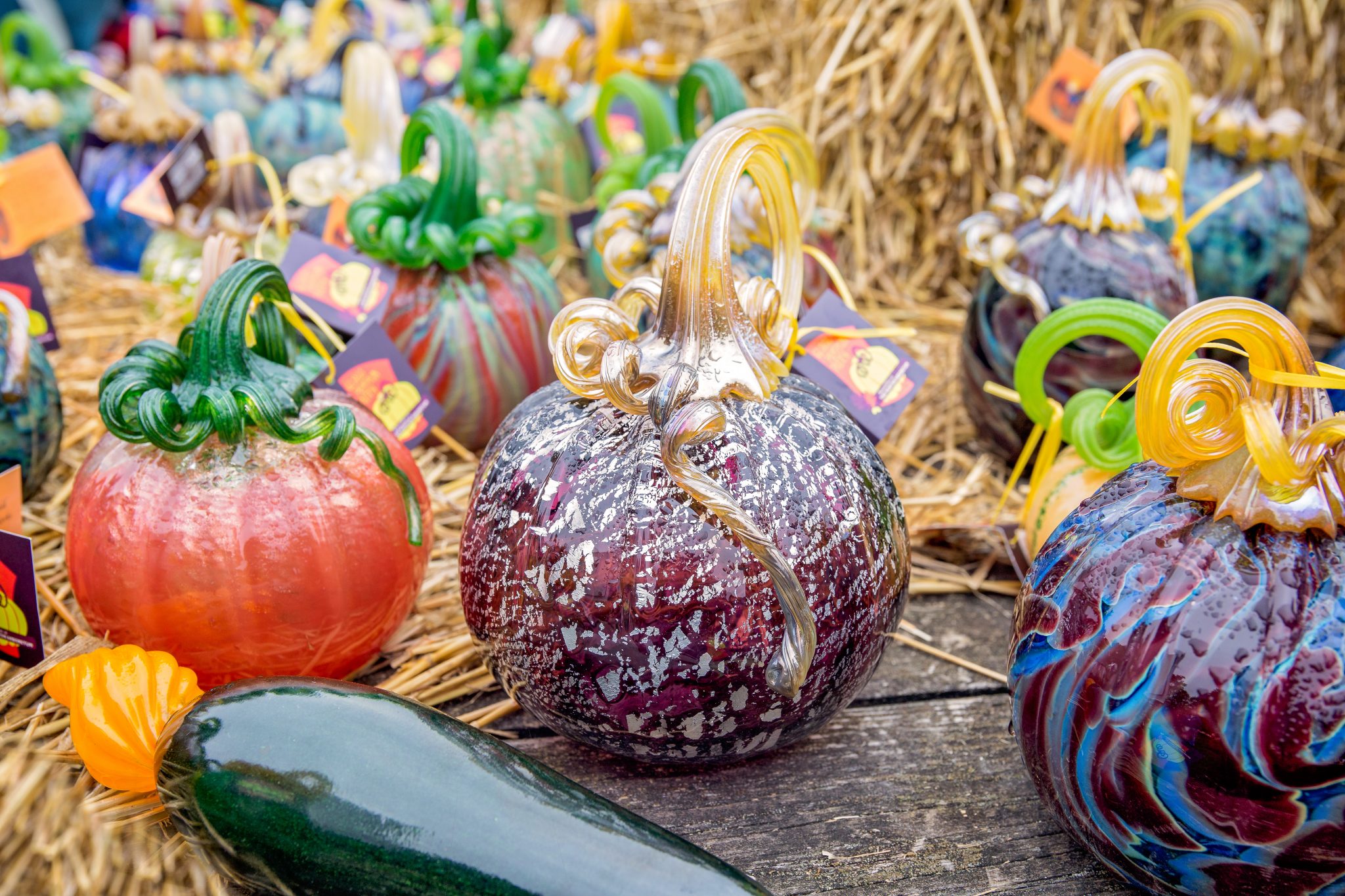The Best Cape Cod Fall Festivals