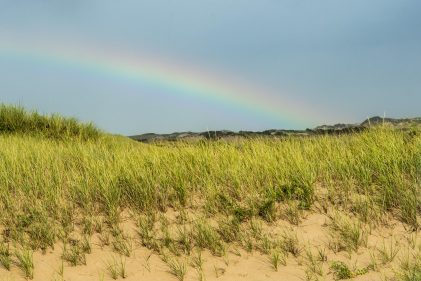 10 Best Things To Do on Cape Cod on a Rainy Day!