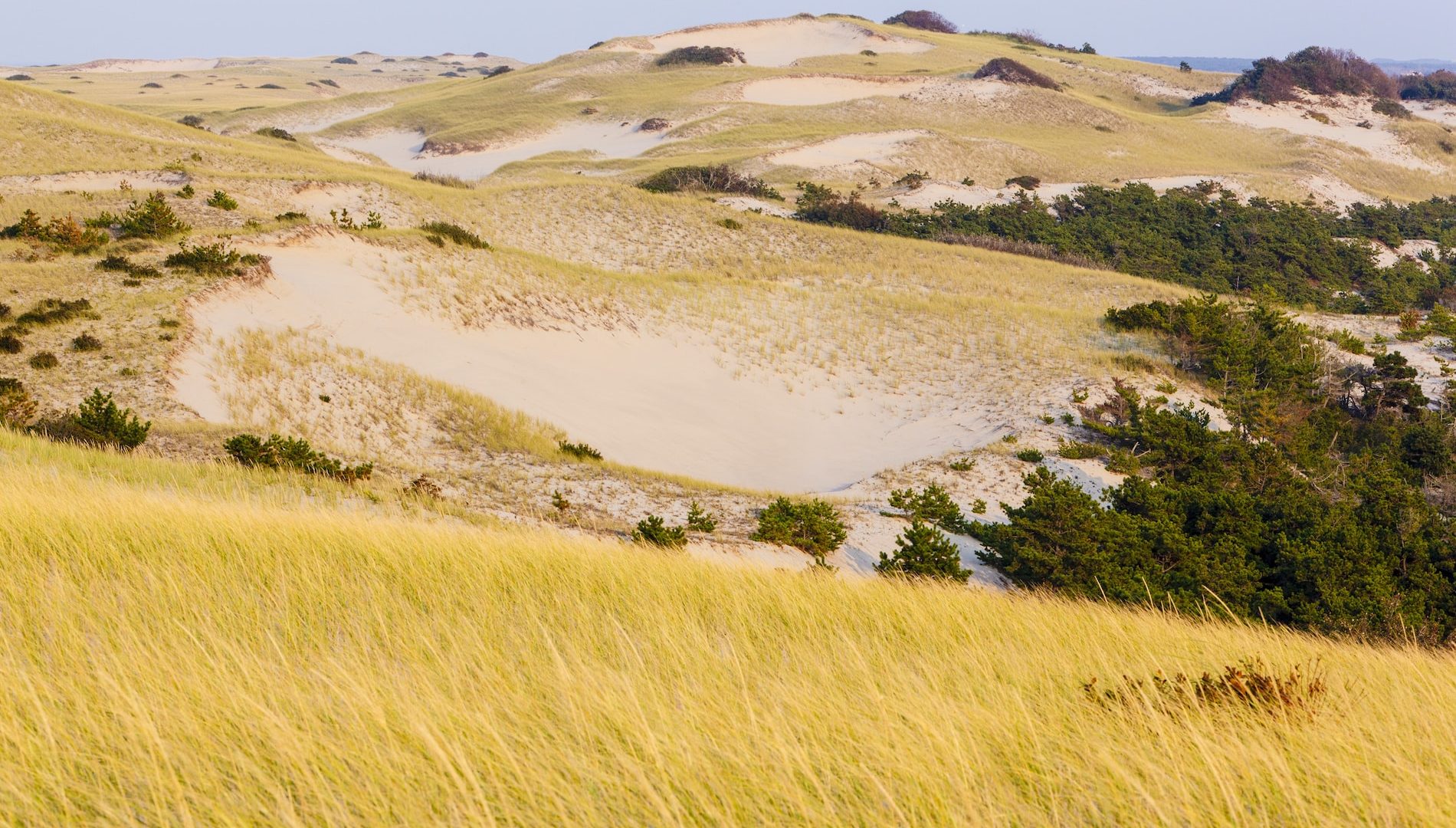 The dunes in "The Provincelands" at Cape Cod National Seashore in Provincetown, Massachusetts.