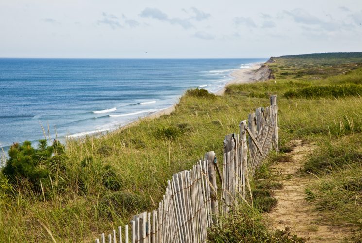 5 Favorite Spring Hikes on Cape Cod