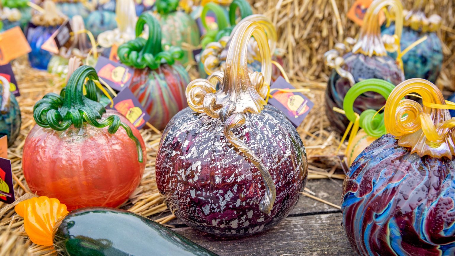 The Best Cape Cod Fall Festivals